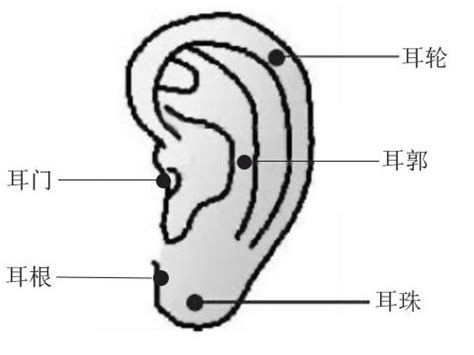 耳朵痣位置 天上聖母經功效